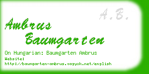 ambrus baumgarten business card